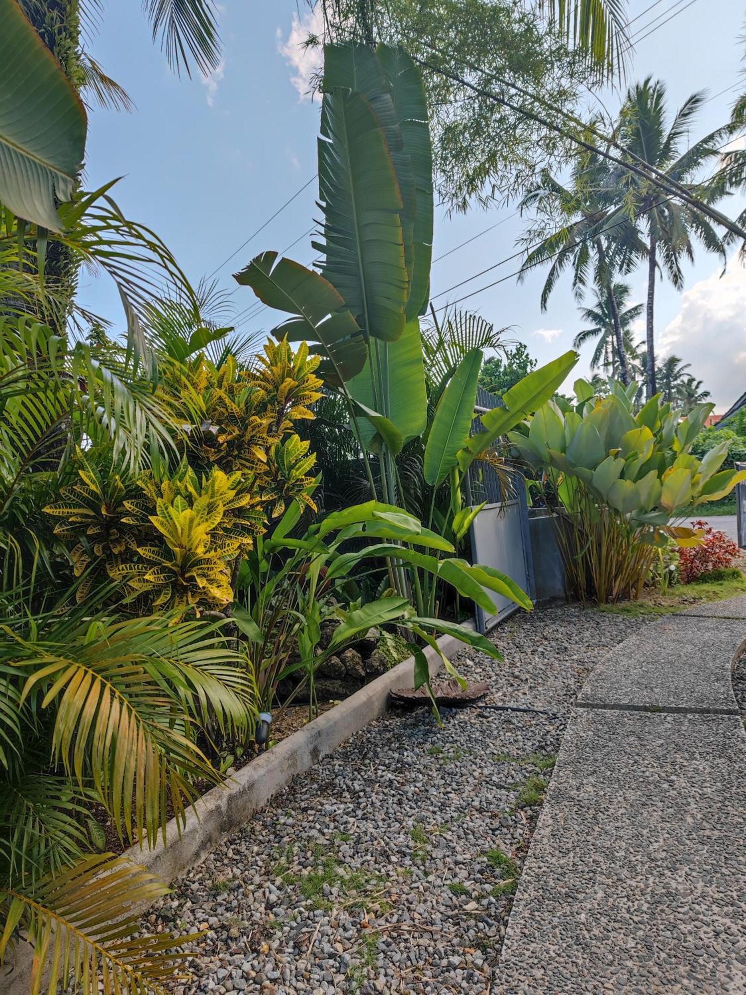 Daluyong Beach Resort General Luna (Surigao del Norte) Exterior foto